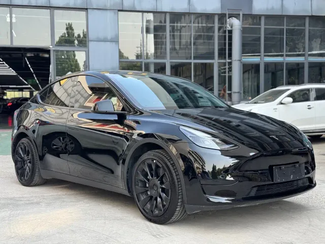 Tesla Model Y — Фото автомобиля 3