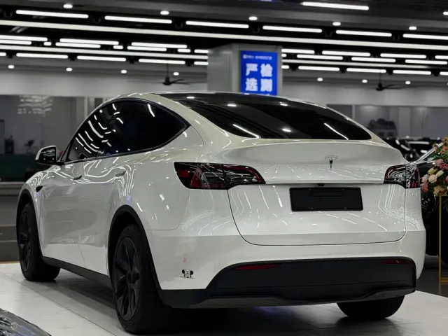 Tesla Model Y — Фото автомобиля 4