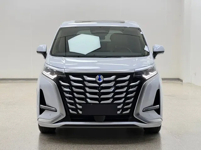 Denza D9 — Фото автомобиля 2