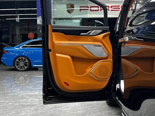 Wey Alpine — Фото автомобиля 11