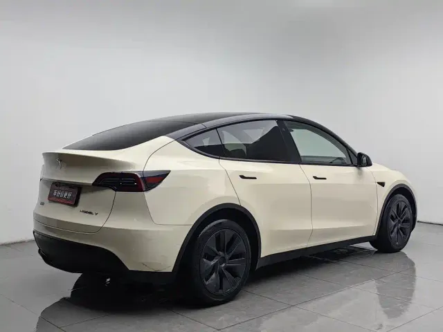 Tesla Model Y — Фото автомобиля 2