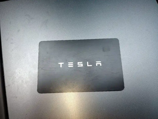 Tesla Model 3 — Фото автомобиля 8
