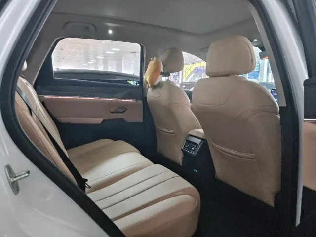 BYD Song Pro — Фото автомобиля 12