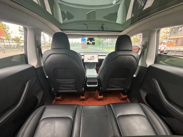 Tesla Model Y — Фото автомобиля 9