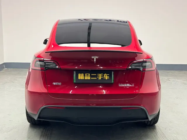 Tesla Model Y — Фото автомобиля 6