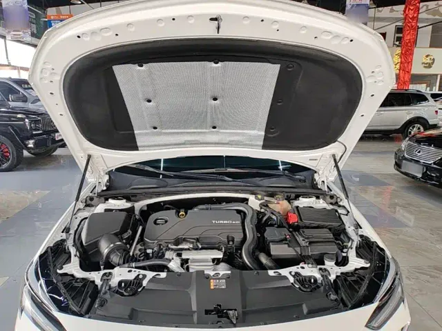 Buick Regal — Фото автомобиля 19