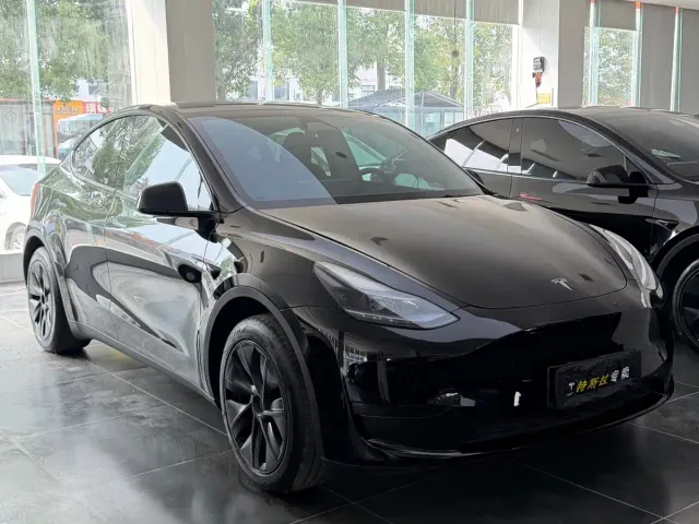Tesla Model Y — Фото автомобиля 3