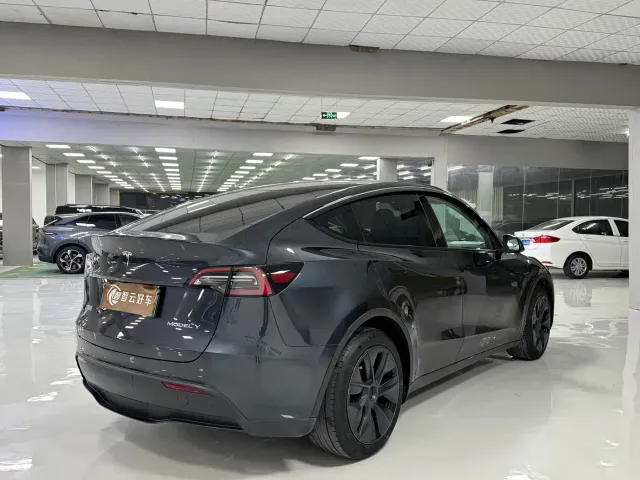 Tesla Model Y — Фото автомобиля 9
