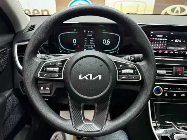 Kia Seltos — Фото автомобиля 11