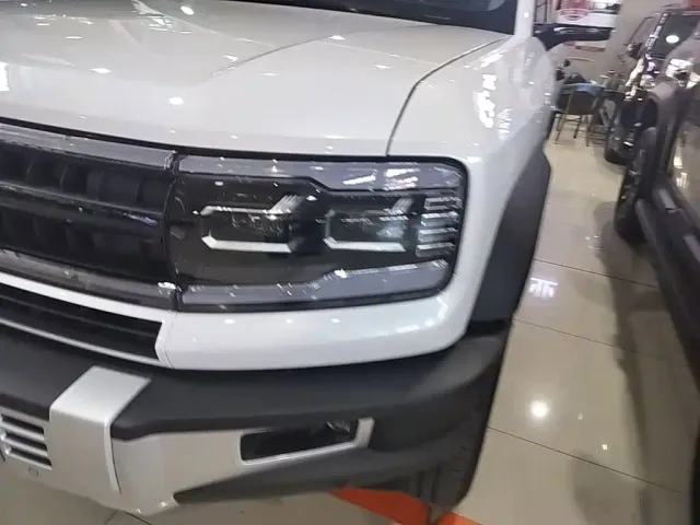 BYD FangChengBao Leopard 5 — Фото автомобиля 23