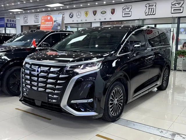 Фотография автомобиля — Denza D9
