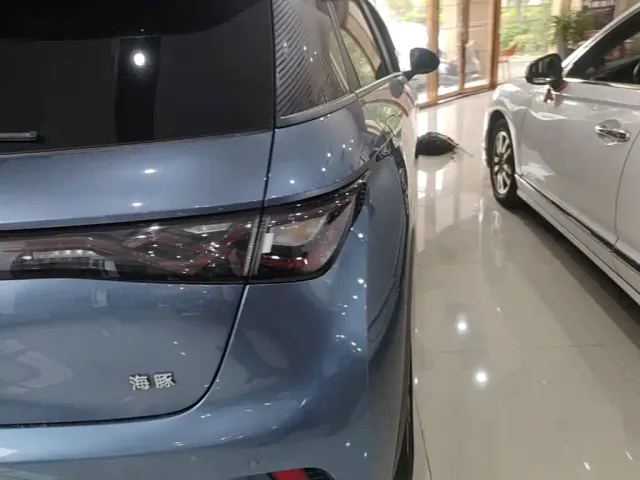BYD Dolphin — Фото автомобиля 7