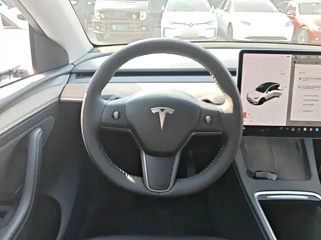 Tesla Model Y — Фото автомобиля 10