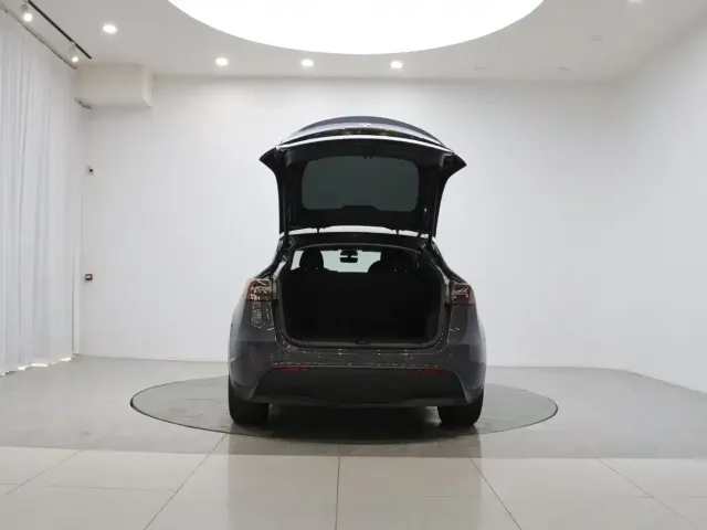 Tesla Model Y — Фото автомобиля 20