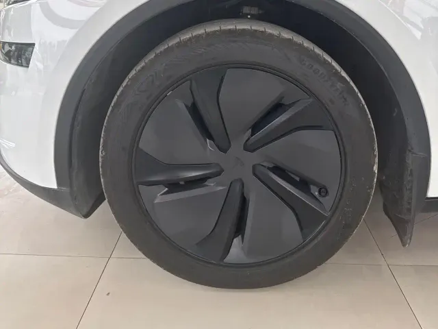 Tesla Model Y — Фото автомобиля 3