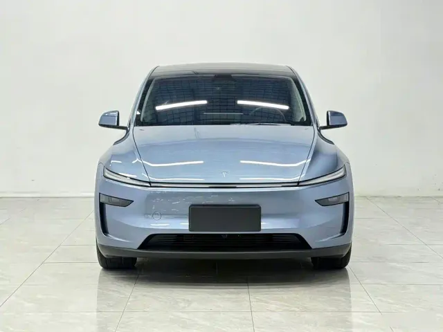 Tesla Model Y — Фото автомобиля 2