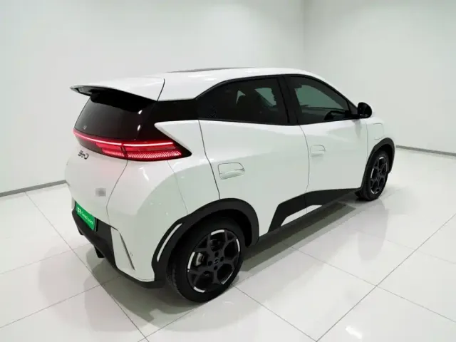 BYD Seagull 2024 Glory Edition 305km Freedom Edition — Фото автомобиля 4