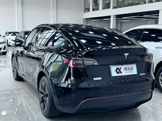 Tesla Model Y — Фото автомобиля 6