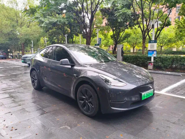 Tesla Model Y — Фото автомобиля 3