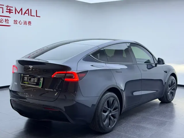 Tesla Model Y — Фото автомобиля 13