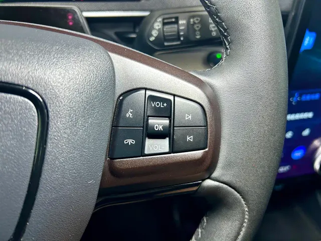 Ford Mustang Mach-E — Фото автомобиля 13