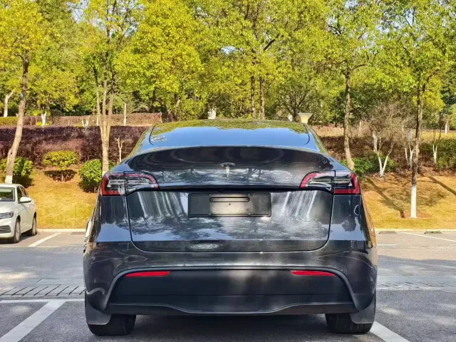 Tesla Model Y — Фото автомобиля 8