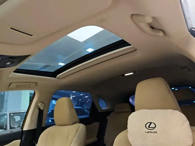 Lexus RX — Фото автомобиля 12