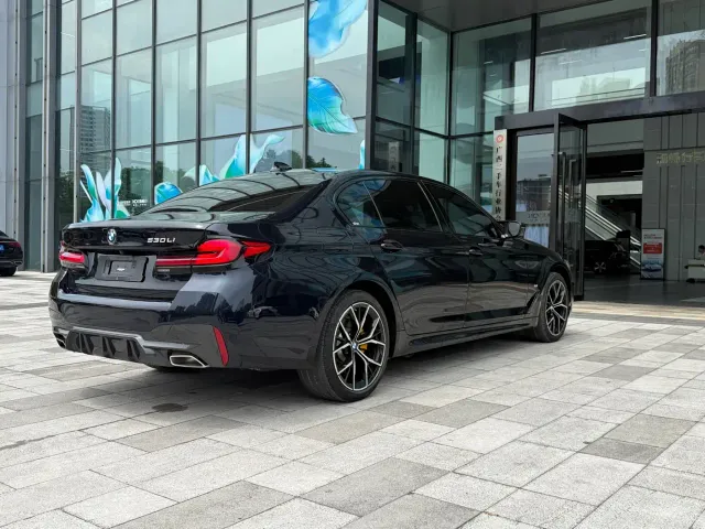 BMW 5 Series — Фото автомобиля 4
