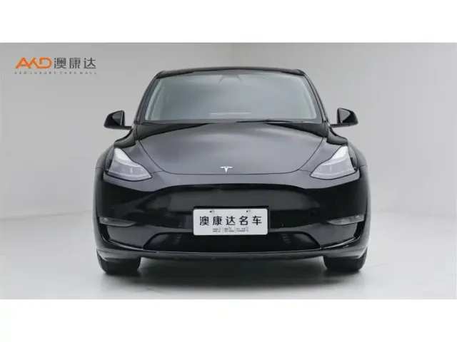 Tesla Model Y — Фото автомобиля 2