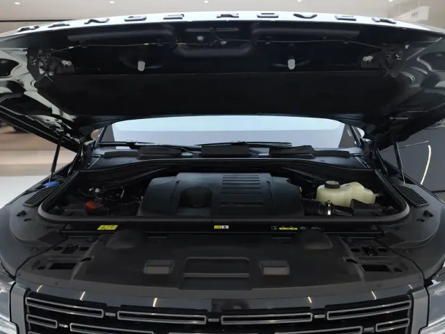 Land Rover Range Rover Sport — Фото автомобиля 13
