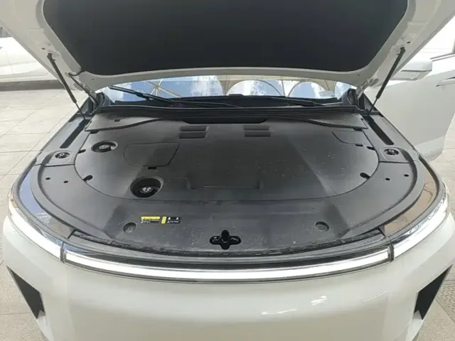GAC Trumpchi Xiangwang S9 — Фото автомобиля 15