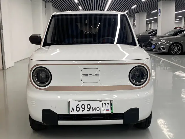Geely Galaxy Panda 2024 Facelift Panda mini 200km Dragon Edition — Фото автомобиля 2