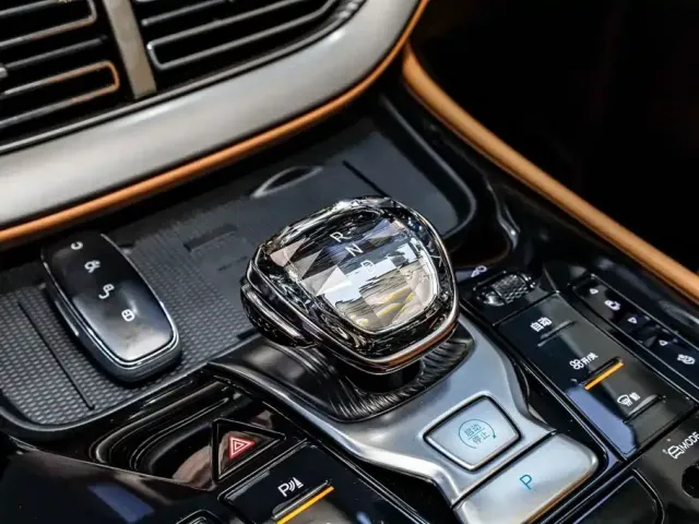 Denza D9 — Фото автомобиля 19