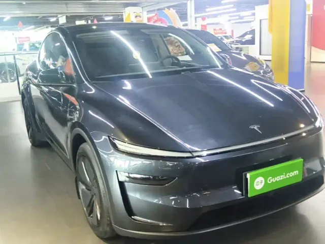 Tesla Model Y — Фото автомобиля 3