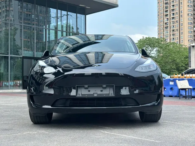 Tesla Model Y — Фото автомобиля 2