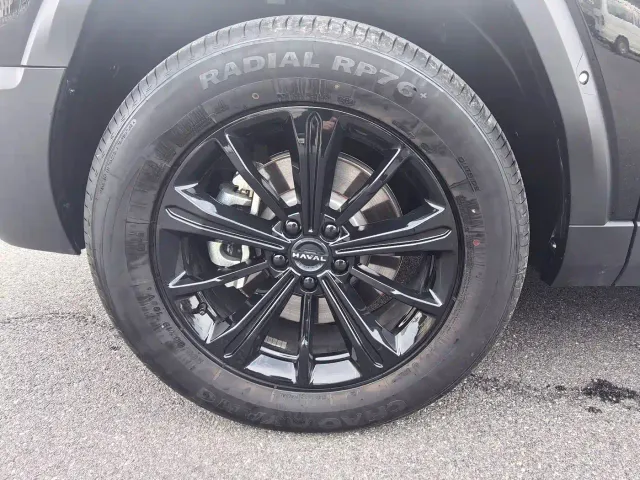 Haval Raptor — Фото автомобиля 22