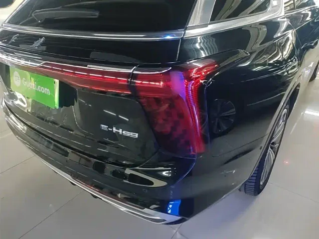 Hongqi E-HS9 — Фото автомобиля 7