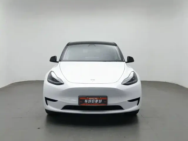 Tesla Model Y — Фото автомобиля 3