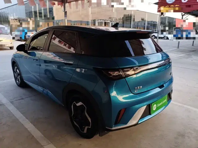 BYD Dolphin 2021 Model 405km Fashion Edition — Фото автомобиля 4