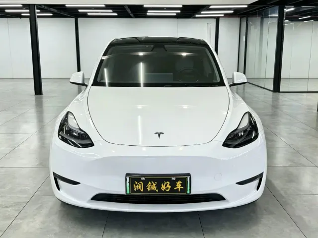Tesla Model Y — Фото автомобиля 2
