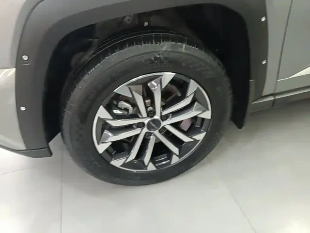 Haval Big Dog — Фото автомобиля 22