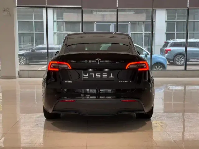 Tesla Model Y — Фото автомобиля 7