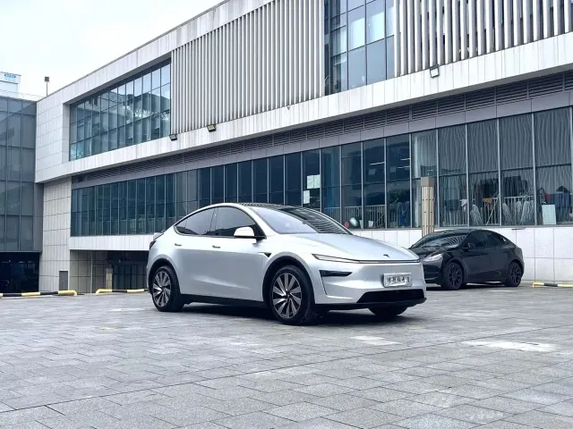 Tesla Model Y — Фото автомобиля 2