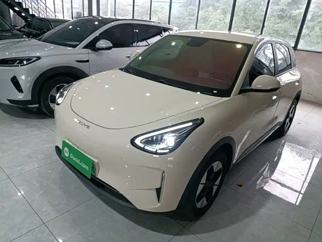Фотография автомобиля — Geely Starry Wish