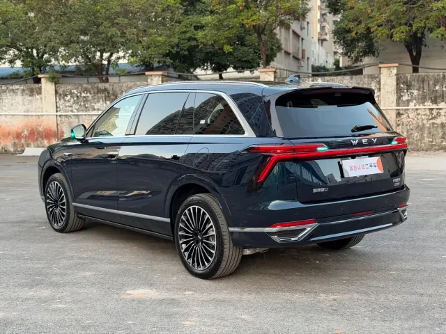 Wey Lanshan — Фото автомобиля 12