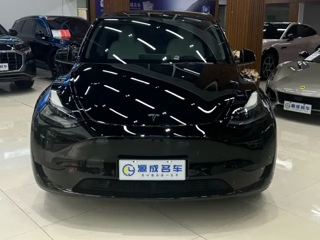 Tesla Model Y — Фото автомобиля 2
