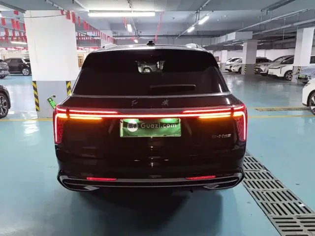 Hongqi E-HS9 — Фото автомобиля 5