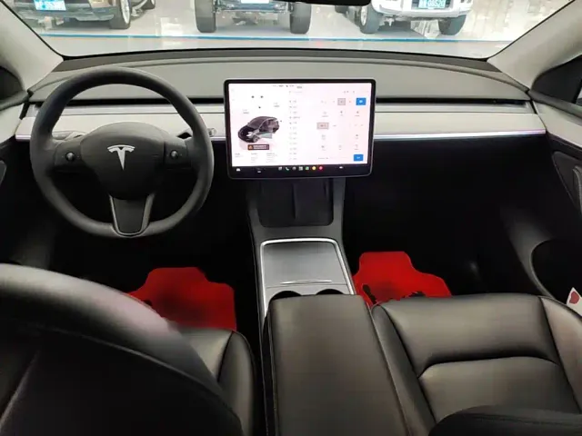 Tesla Model Y — Фото автомобиля 9