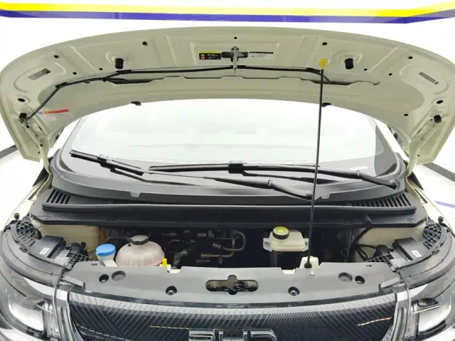 BYD Dolphin — Фото автомобиля 10