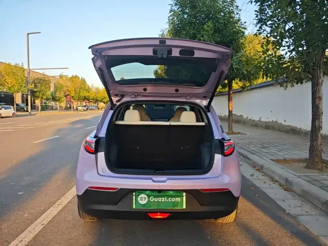 Geely Starry Wish — Фото автомобиля 18